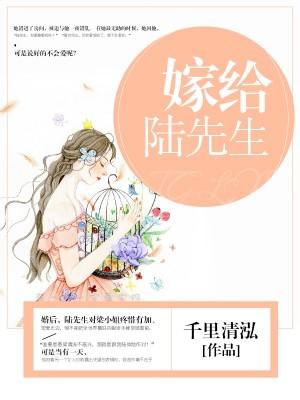 亲爱的陆先生全本免费阅读