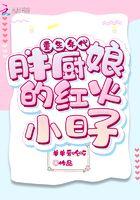 重生年代胖厨娘的红火小日子txt