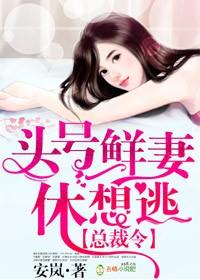 总裁头号鲜妻免费阅读