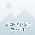 宠游天下俱乐部