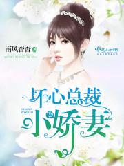 坏总裁的第四任新娘
