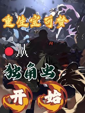 精灵宝可梦之重生系统