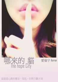 哪来的猫lofter