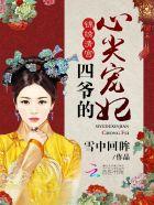 锦绣清宫四爷的心尖宠妃epub