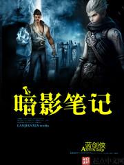 笔记本暗影6