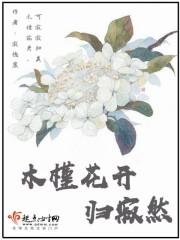 木槿花开畏日长